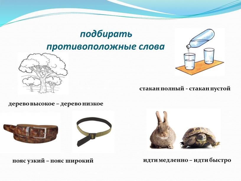 стакан полный - стакан пустой дерево высокое – дерево низкое идти медленно – идти быстро пояс узкий – пояс широкий подбирать противоположные слова