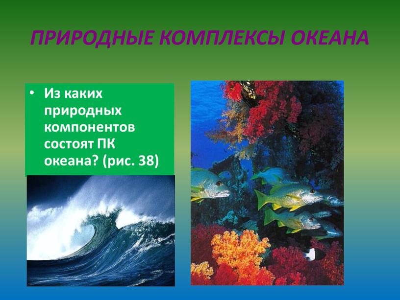 ПРИРОДНЫЕ КОМПЛЕКСЫ ОКЕАНА Из каких природных компонентов состоят