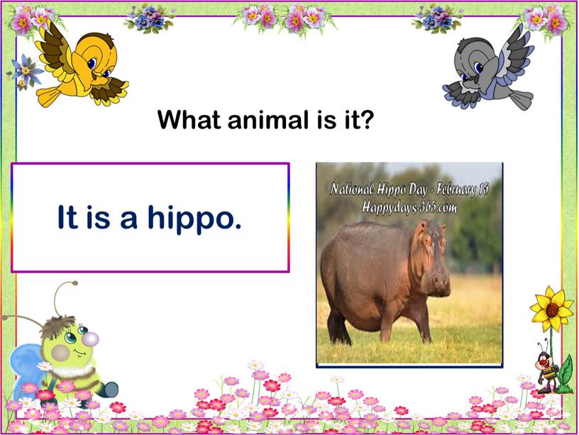 What animal is it? It is a hippo