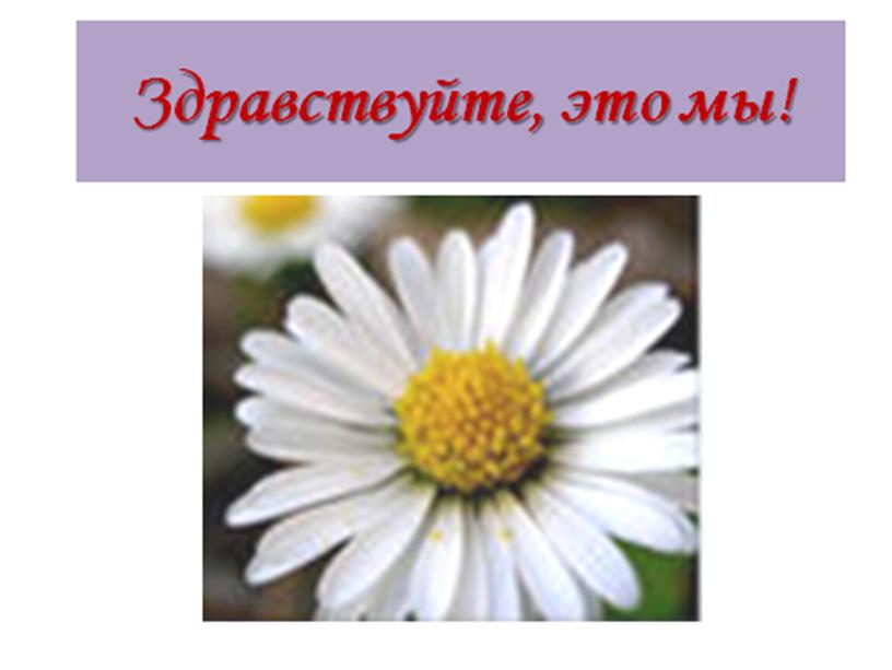 Презентация к классному часу на тему  «Здравствуйте, это мы!»