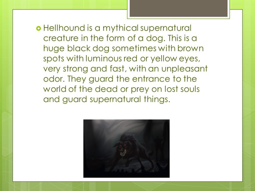 Hellhound is a mythical supernatural creature in the form of a dog