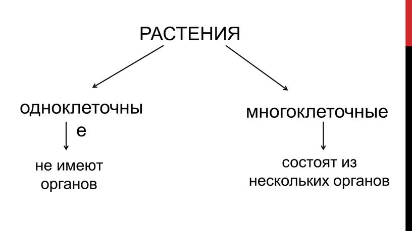 РАСТЕНИЯ одноклеточные не имеют органов состоят из нескольких органов многоклеточные