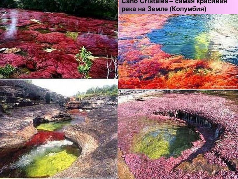 Caño Cristales – самая красивая река на