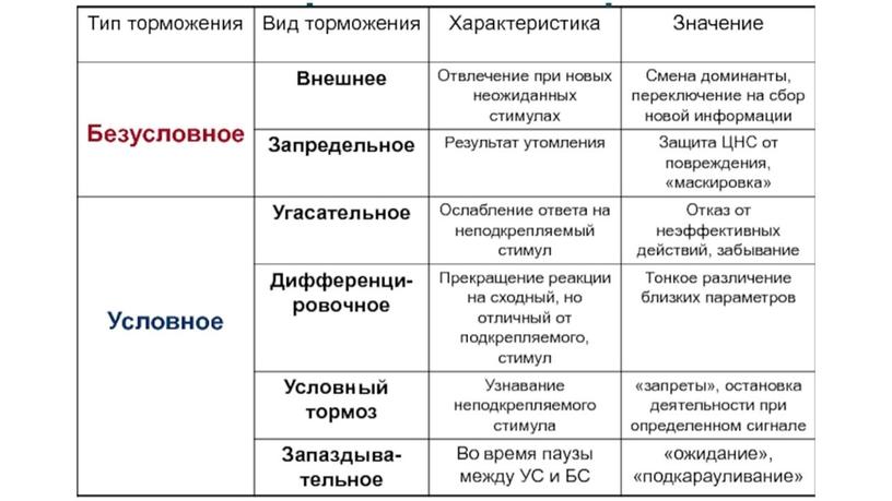 Высшая нервная деятельность