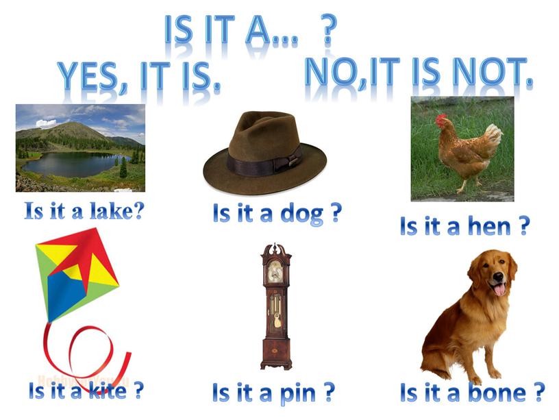 Is it a… ? Yes, it is. No,It is nоt