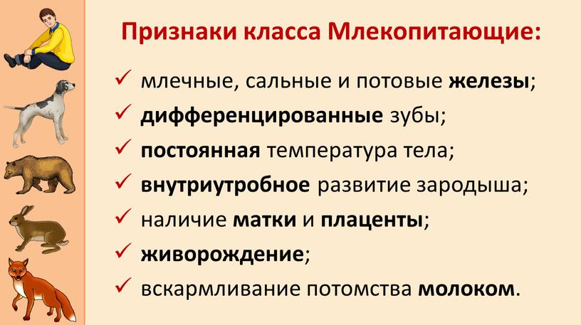 млечные, сальные и потовые железы ; дифференцированные зубы; постоянная температура тела; внутриутробное развитие зародыша; наличие матки и плаценты ; живорождение ; вскармливание потомства молоком .…