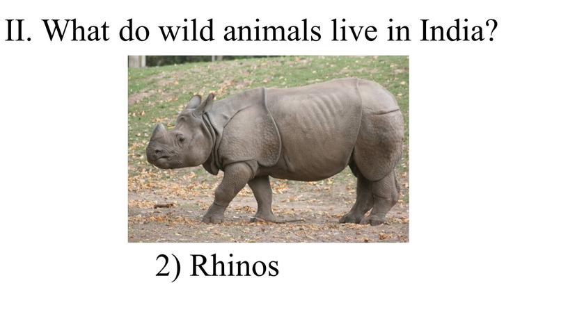 II. What do wild animals live in