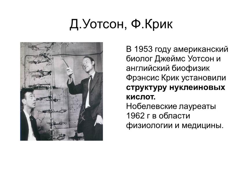 Д.Уотсон, Ф.Крик В 1953 году американский биолог