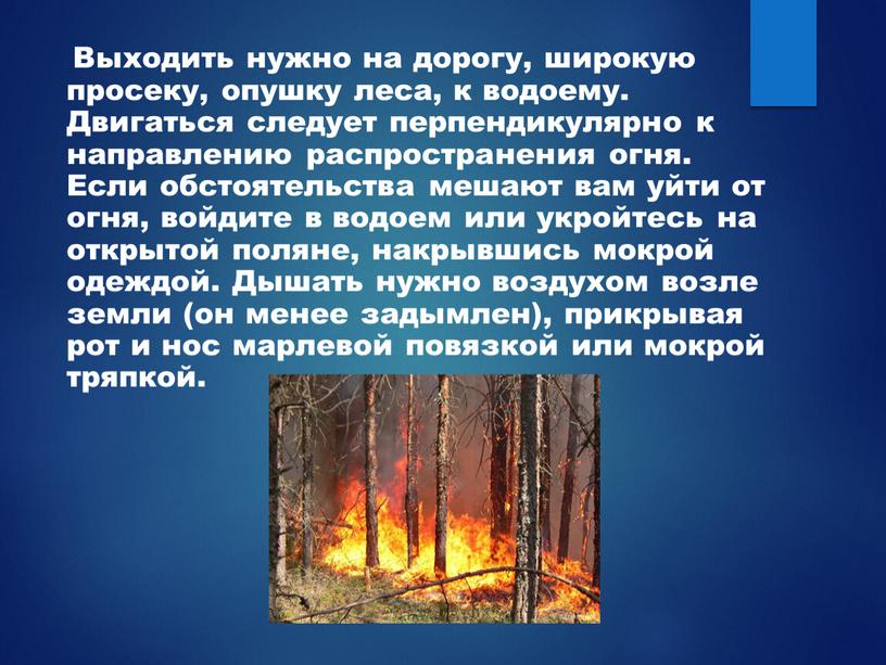 Выходить нужно на дорогу, широкую просеку, опушку леса, к водоему