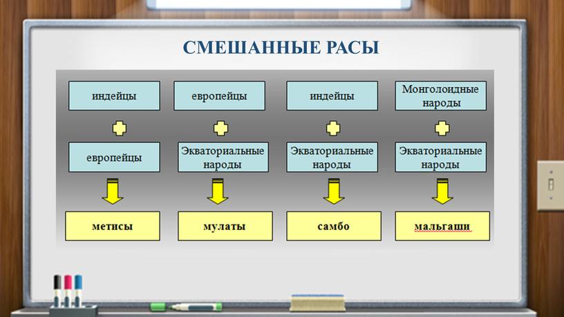 СМЕШАННЫЕ РАСЫ