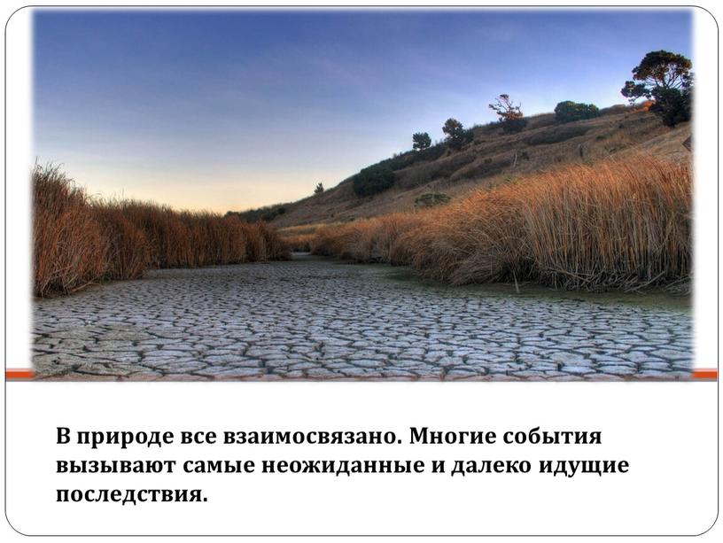 В природе все взаимосвязано