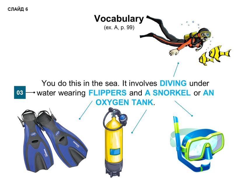 Vocabulary (ex. A, p. 99) You do this in the sea