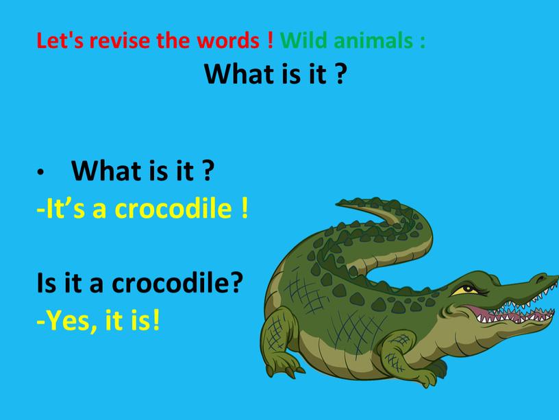 Let's revise the words ! Wild animals :