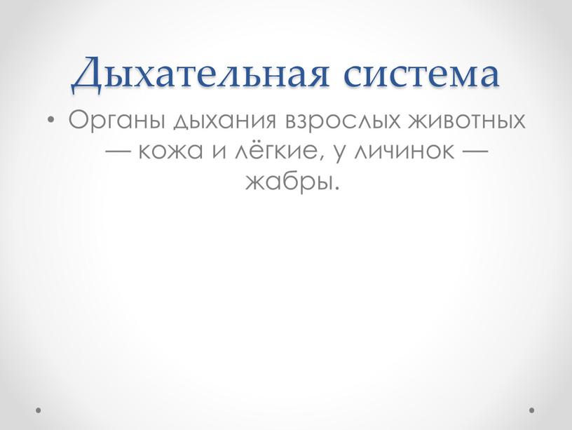 Дыхательная система Органы дыхания взрослых животных — кожа и лёгкие, у личинок — жабры