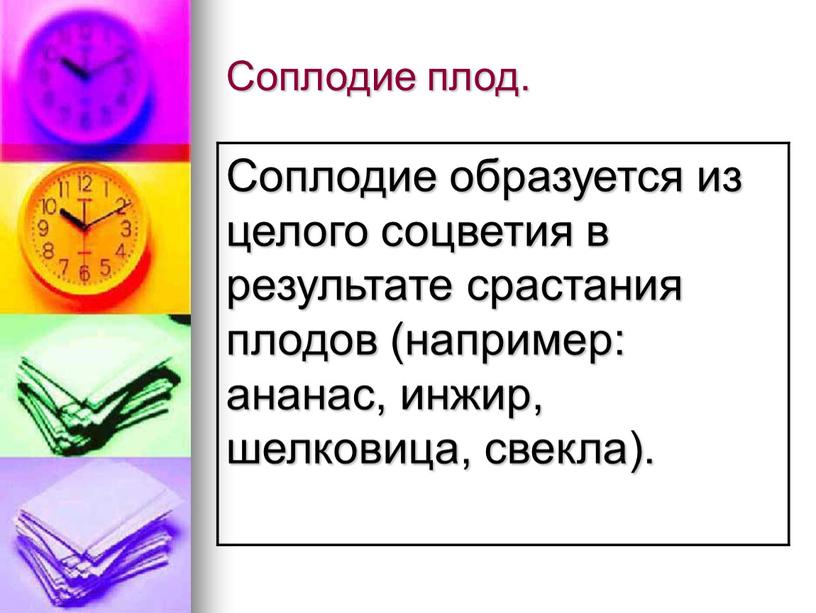 Соплодие плод. Соплодие образуется из целого соцветия в результате срастания плодов (например: ананас, инжир, шелковица, свекла)