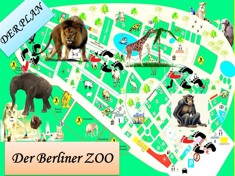 DER PLAN Der Berliner ZOO