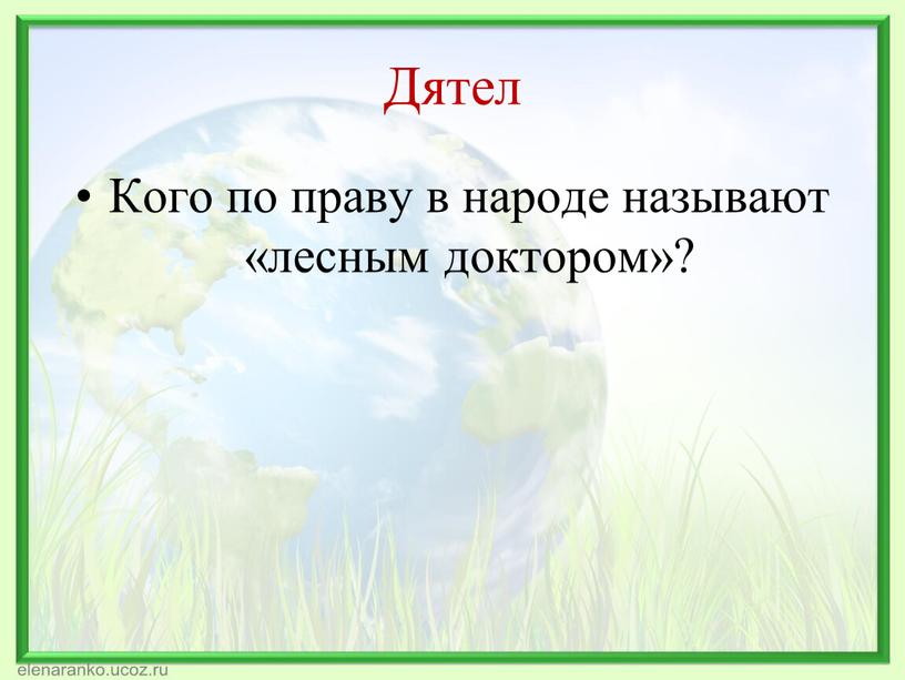 Дятел Кого по праву в народе называют «лесным доктором»?