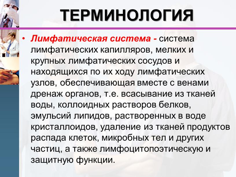 ТЕРМИНОЛОГИЯ Лимфатическая система - система лимфатических капилляров, мелких и крупных лимфатических сосудов и находящихся по их ходу лимфатических узлов, обеспечивающая вместе с венами дренаж органов,…