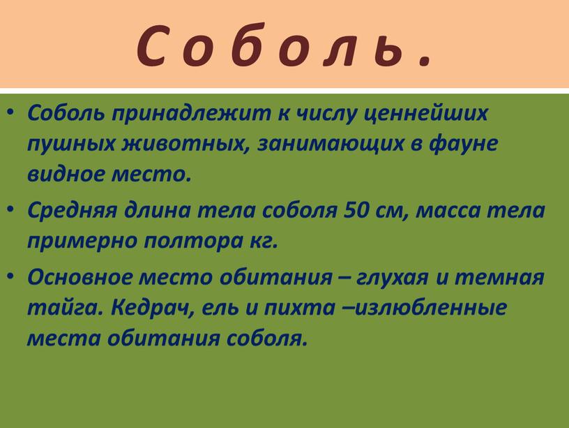 С о б о л ь . Соболь принадлежит к числу ценнейших пушных животных, занимающих в фауне видное место