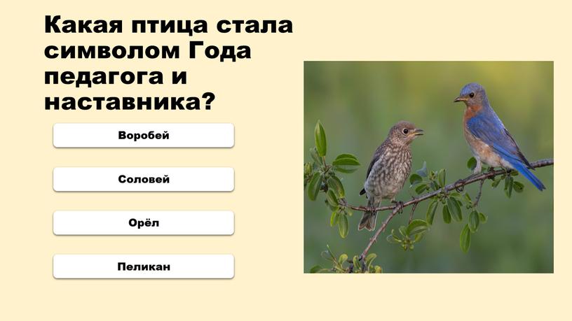 Какая птица стала символом Года педагога и наставника?