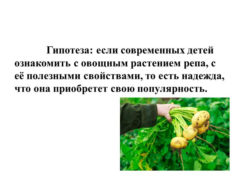 Гипотеза: если современных детей ознакомить с овощным растением репа, с её полезными свойствами, то есть надежда, что она приобретет свою популярность