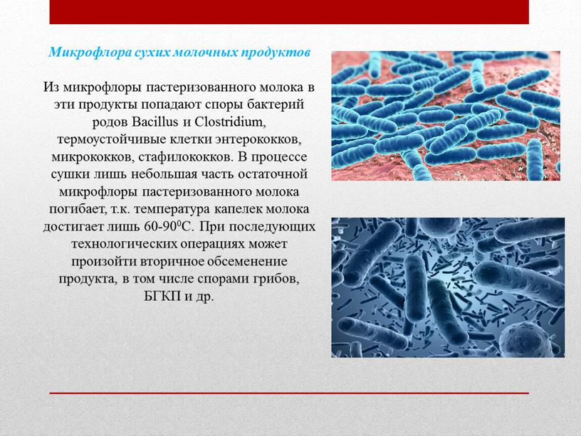 Микрофлора сухих молочных продуктов