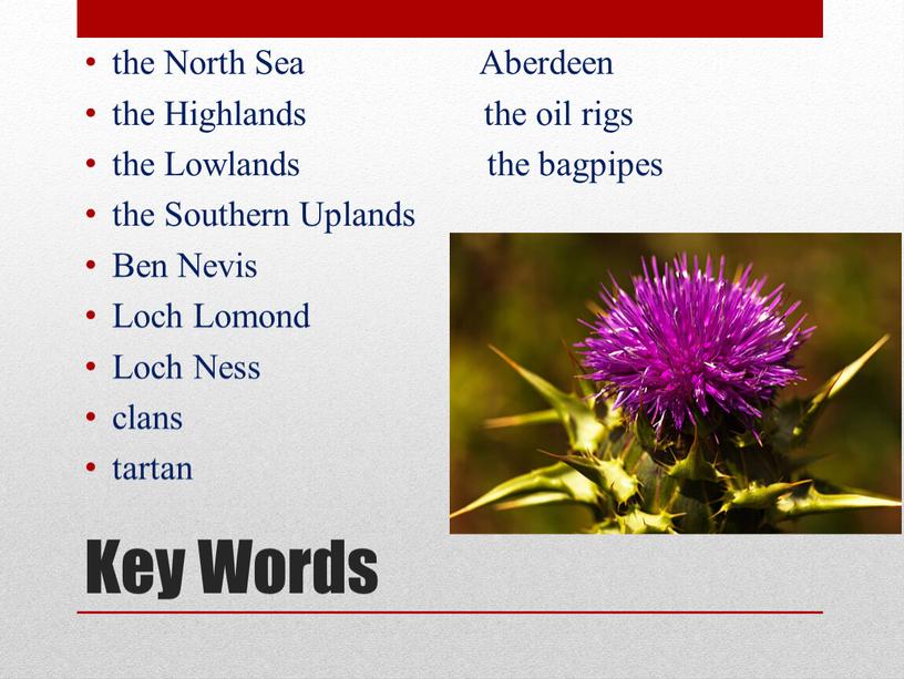 Key Words the North Sea