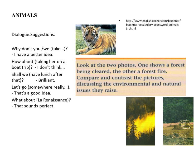 ANIMALS http://www.englishlearner