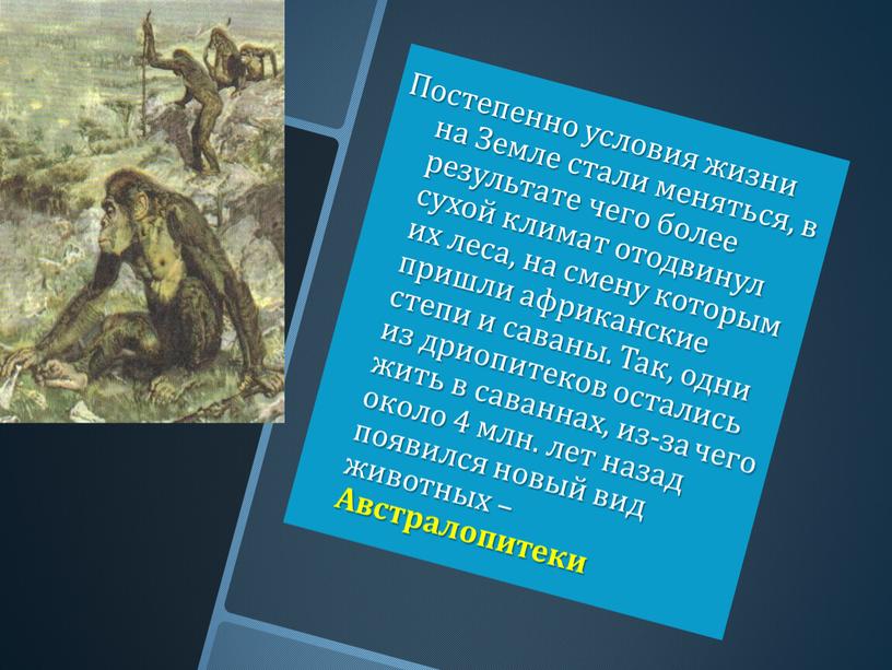 Постепенно условия жизни на Земле стали меняться, в результате чего более сухой климат отодвинул их леса, на смену которым пришли африканские степи и саваны