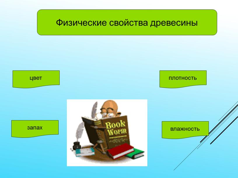 Физические свойства древесины цвет плотность запах влажность