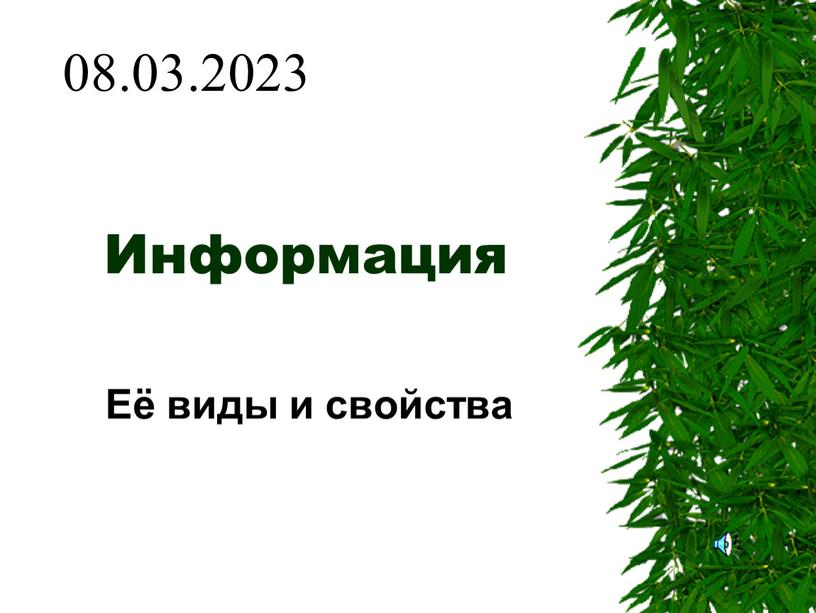 Информация Её виды и свойства 08