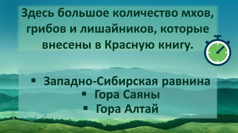 Здесь большое количество мхов, грибов и лишайников, которые внесены в