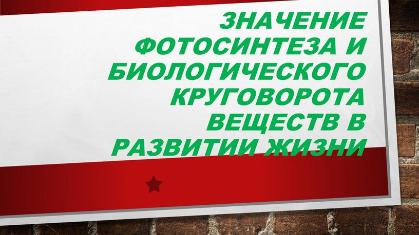 Значение фотосинтеза и биологического круговорота веществ в развитии жизни