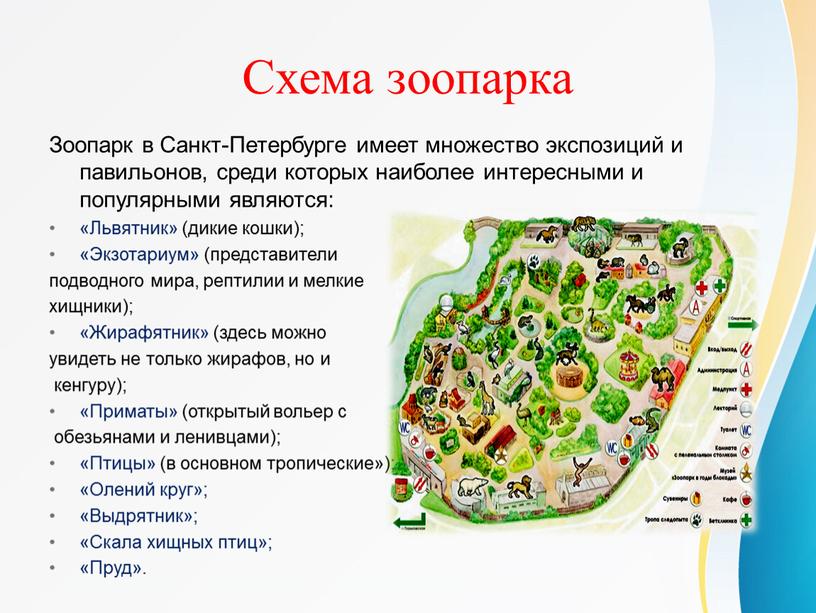 Схема зоопарка Зоопарк в Санкт-Петербурге имеет множество экспозиций и павильонов, среди которых наиболее интересными и популярными являются: «Львятник» (дикие кошки); «Экзотариум» (представители подводного мира, рептилии…