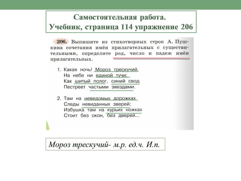 Самостоятельная работа. Учебник, страница 114 упражнение 206