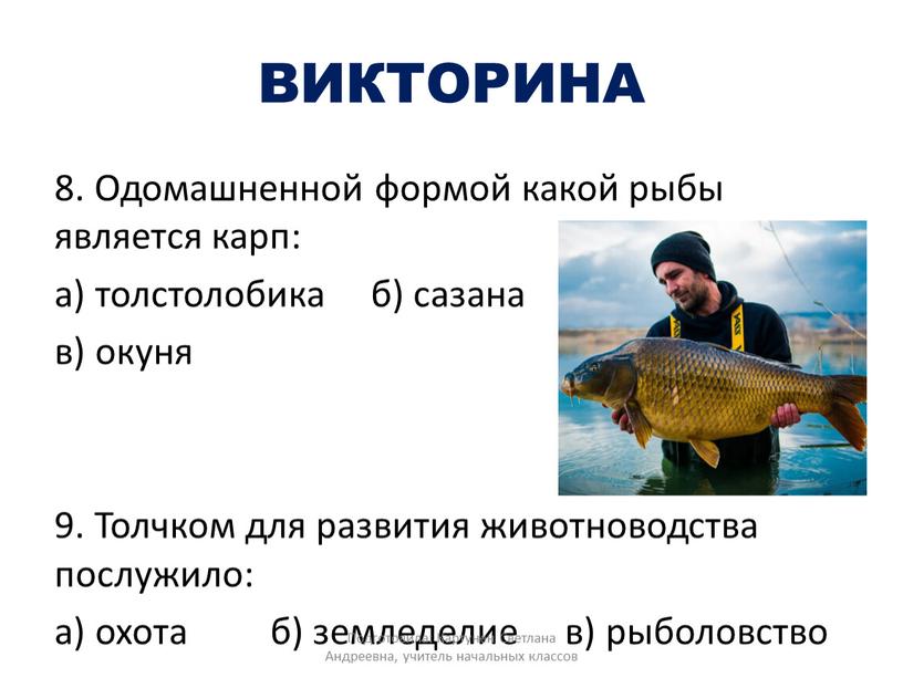 ВИКТОРИНА 8. Одомашненной формой какой рыбы является карп: а) толстолобика б) сазана в) окуня 9