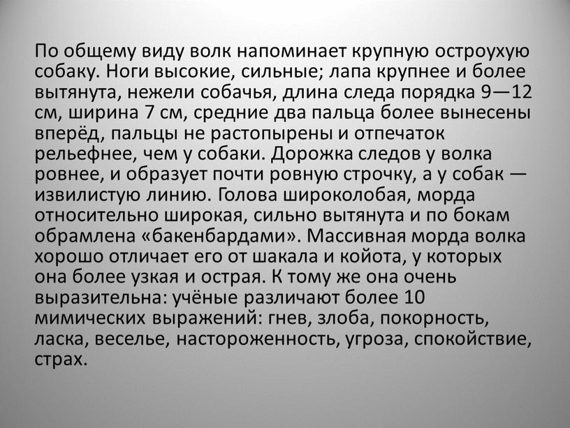 По общему виду волк напоминает крупную остроухую собаку