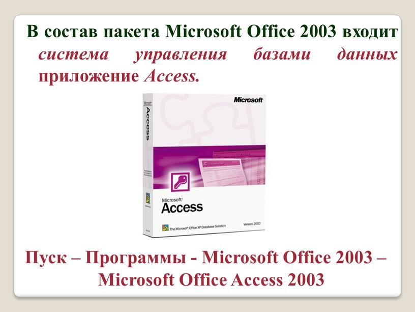 В состав пакета Microsoft Office 2003 входит система управления базами данных приложение