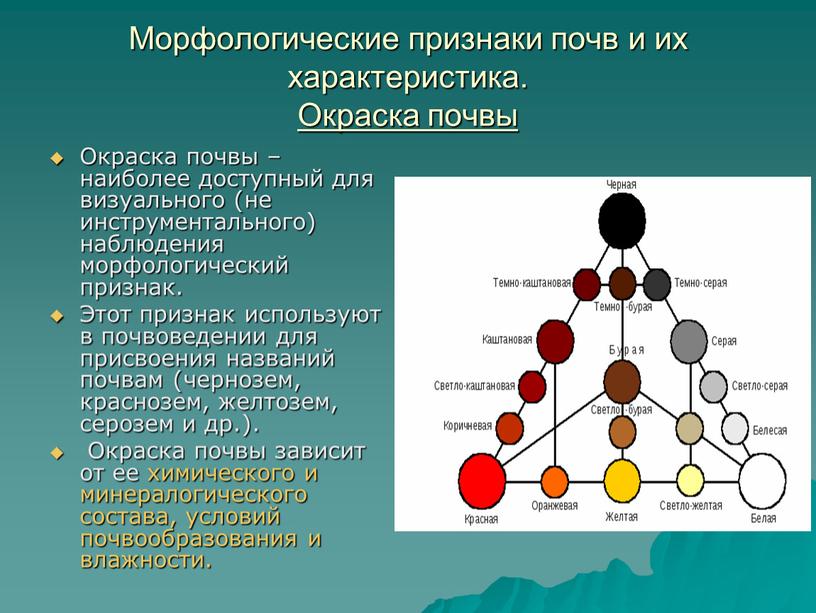 Морфологические признаки почв и их характеристика