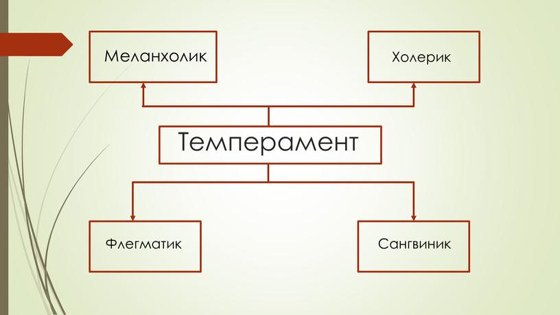 Темперамент Меланхолик Холерик