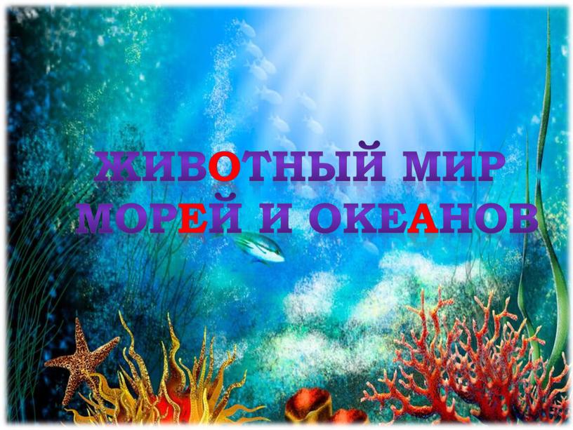 животный мир морей и океанов