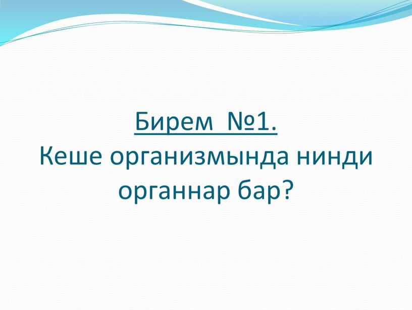 Бирем №1. Кеше организмында нинди органнар бар?