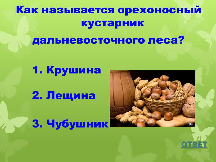 Как называется орехоносный кустарник дальневосточного леса?