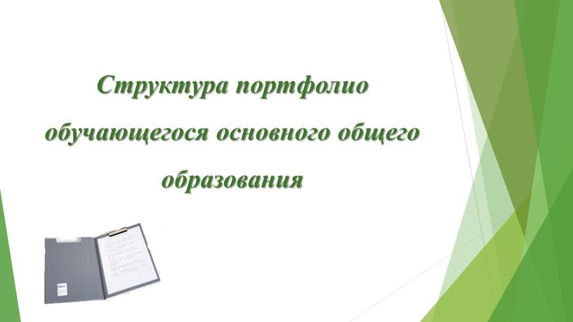 Структура портфолио обучающегося основного общего образования