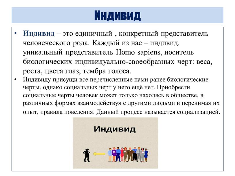 Индивид Индивид – это единичный , конкретный представитель человеческого рода