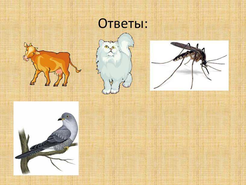 Ответы: