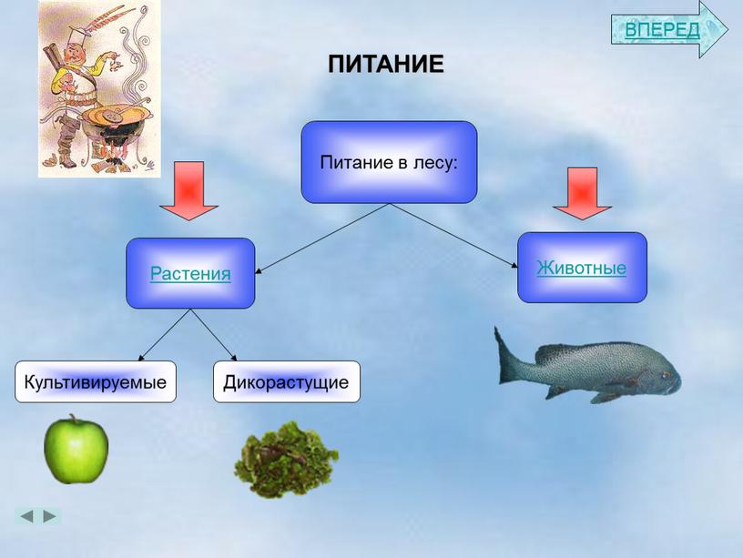 ПИТАНИЕ Растения Животные Питание в лесу: