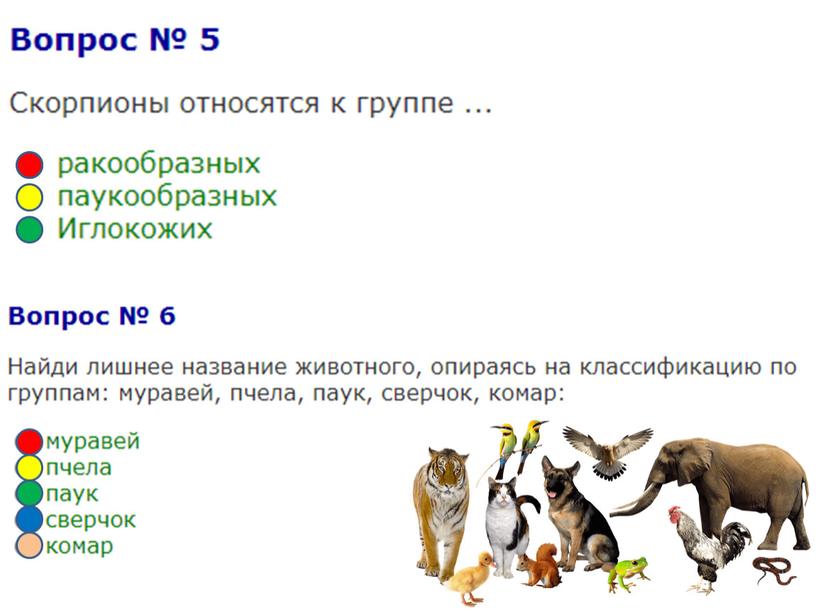 Тестовая работа по теме "Разнообразие животных". Окружающий мир (3 класс)