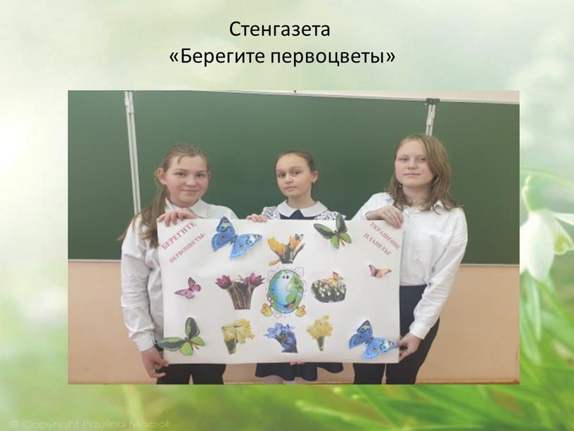 Стенгазета «Берегите первоцветы»