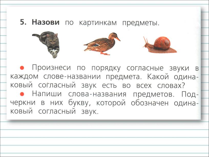 Презентация к уроку русского языка по теме "Слова с удвоенными  согласными." - 1 класс